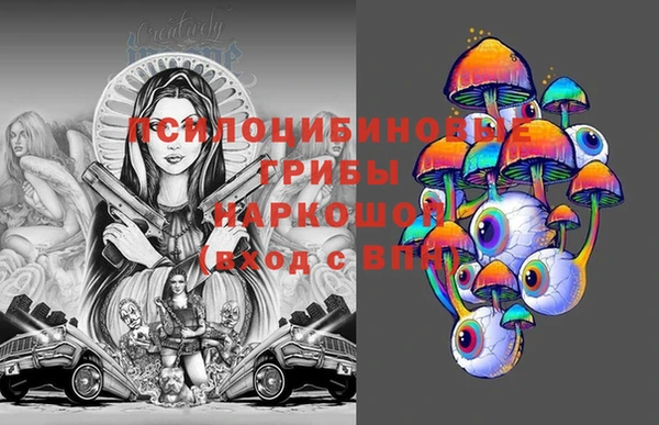 гашик Балабаново