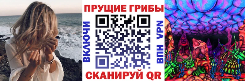 купить   Лангепас  Галлюциногенные грибы Cubensis 